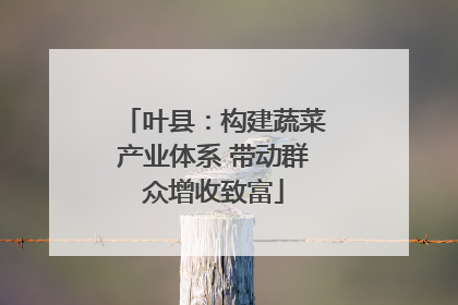 叶县：构建蔬菜产业体系 带动群众增收致富