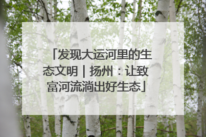 发现大运河里的生态文明｜扬州：让致富河流淌出好生态
