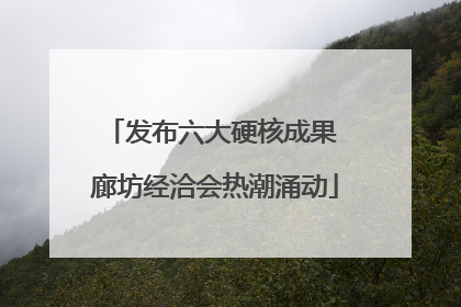 发布六大硬核成果 廊坊经洽会热潮涌动