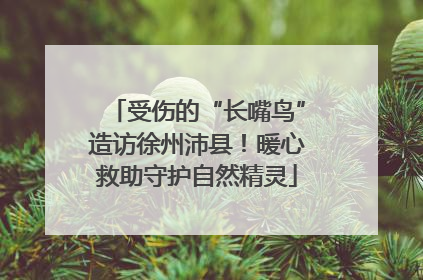 受伤的“长嘴鸟”造访徐州沛县！暖心救助守护自然精灵