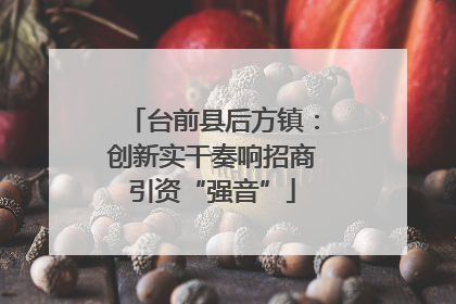 台前县后方镇：创新实干奏响招商引资“强音”