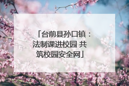 台前县孙口镇：法制课进校园 共筑校园安全网