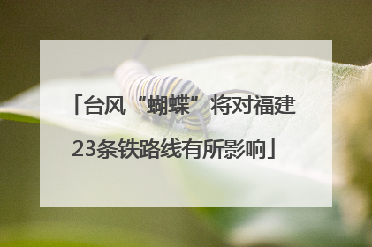 台风“蝴蝶”将对福建23条铁路线有所影响