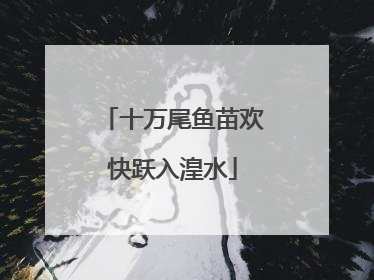 十万尾鱼苗欢快跃入湟水