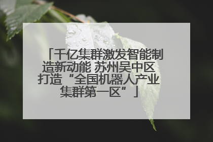 千亿集群激发智能制造新动能 苏州吴中区打造“全国机器人产业集群第一区”