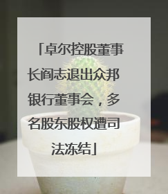 卓尔控股董事长阎志退出众邦银行董事会，多名股东股权遭司法冻结