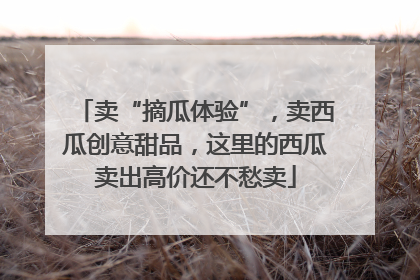 卖“摘瓜体验”，卖西瓜创意甜品，这里的西瓜卖出高价还不愁卖