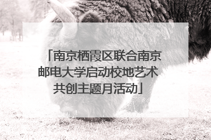 南京栖霞区联合南京邮电大学启动校地艺术共创主题月活动