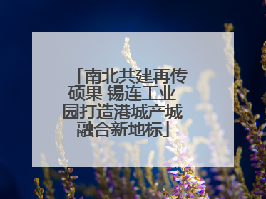 南北共建再传硕果 锡连工业园打造港城产城融合新地标