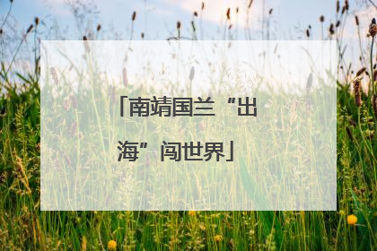 南靖国兰“出海”闯世界