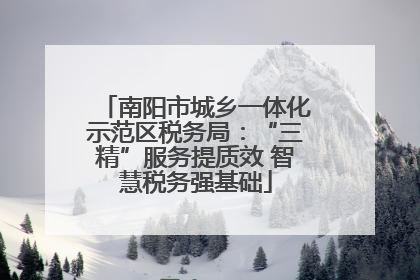 南阳市城乡一体化示范区税务局：“三精”服务提质效 智慧税务强基础