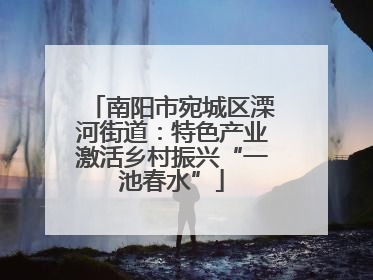南阳市宛城区溧河街道：特色产业激活乡村振兴“一池春水”