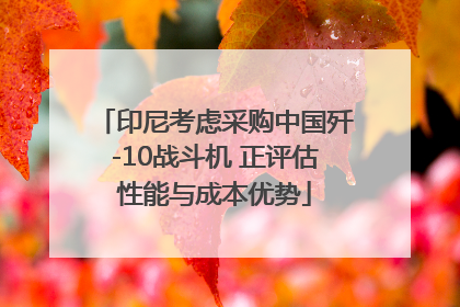 印尼考虑采购中国歼-10战斗机 正评估性能与成本优势