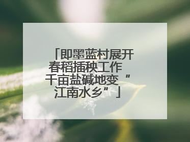 即墨蓝村展开春稻插秧工作 千亩盐碱地变“江南水乡”