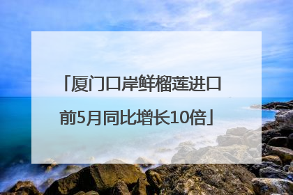 厦门口岸鲜榴莲进口 前5月同比增长10倍