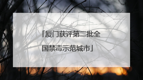厦门获评第二批全国禁毒示范城市