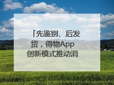 先鉴别、后发货，得物App创新模式推动消费正品化升级