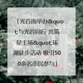 光谷南举办"与光谷同行 共筑星主场"环湖徒步活动 吸引500余名市民参与