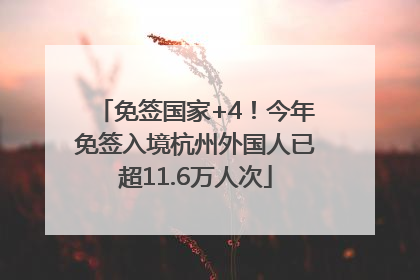 免签国家+4！今年免签入境杭州外国人已超11.6万人次
