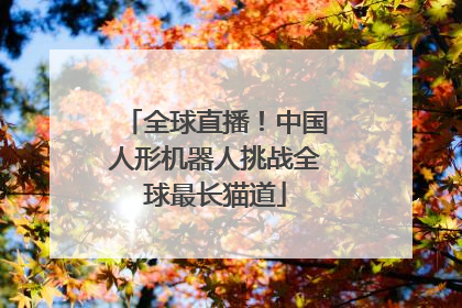 全球直播！中国人形机器人挑战全球最长猫道