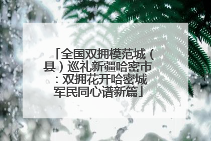 全国双拥模范城（县）巡礼新疆哈密市：双拥花开哈密城 军民同心谱新篇