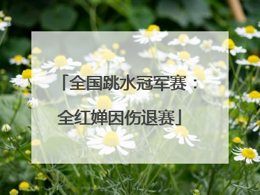 全国跳水冠军赛：全红婵因伤退赛