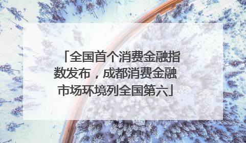 全国首个消费金融指数发布，成都消费金融市场环境列全国第六