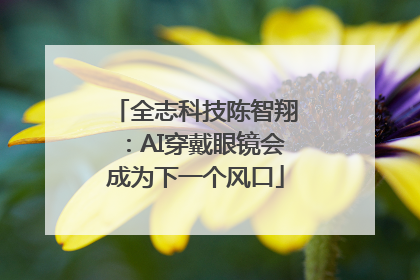 全志科技陈智翔：AI穿戴眼镜会成为下一个风口