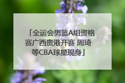全运会男篮A组资格赛广西贵港开赛 周琦等CBA球星现身