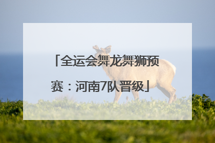 全运会舞龙舞狮预赛：河南7队晋级