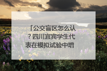 公交盲区怎么认？四川宜宾学生代表在模拟试验中增强乘车安全意识