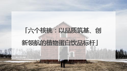 六个核桃：以品质筑基、创新领航的植物蛋白饮品标杆