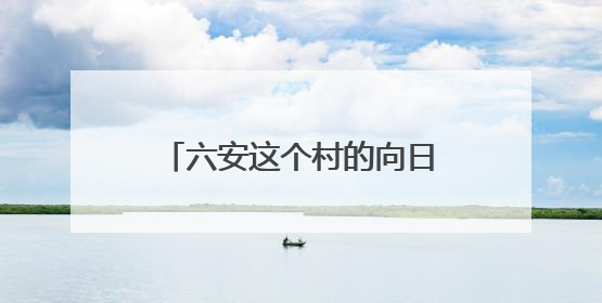 六安这个村的向日葵成花市“宠儿”
