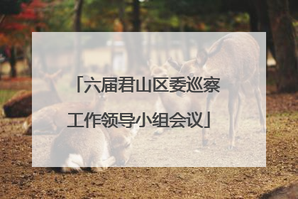 六届君山区委巡察工作领导小组会议