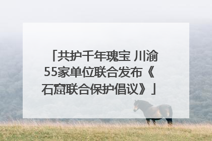 共护千年瑰宝 川渝55家单位联合发布《石窟联合保护倡议》