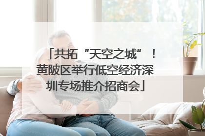 共拓“天空之城”！黄陂区举行低空经济深圳专场推介招商会