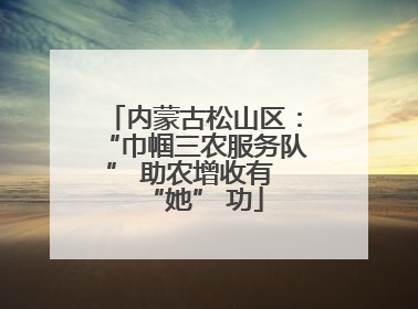 内蒙古松山区：“巾帼三农服务队” 助农增收有 “她” 功