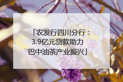 农发行四川分行：3.9亿元贷款助力巴中油茶产业振兴