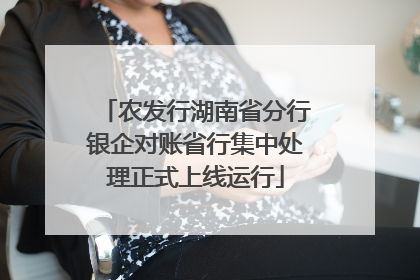 农发行湖南省分行银企对账省行集中处理正式上线运行