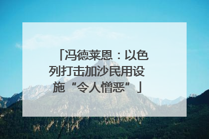 冯德莱恩：以色列打击加沙民用设施“令人憎恶”