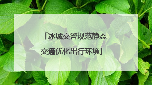冰城交警规范静态交通优化出行环境