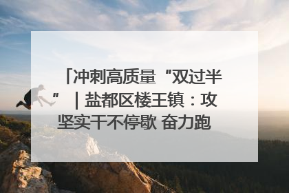 冲刺高质量“双过半”｜盐都区楼王镇：攻坚实干不停歇 奋力跑赢“上半场”