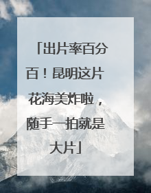 出片率百分百！昆明这片花海美炸啦，随手一拍就是大片