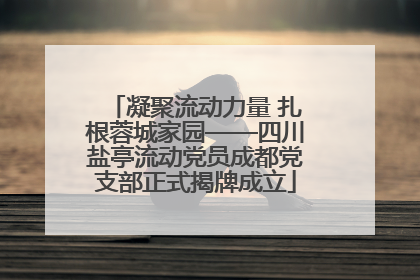 凝聚流动力量 扎根蓉城家园——四川盐亭流动党员成都党支部正式揭牌成立