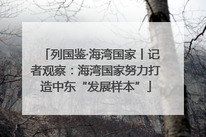 列国鉴·海湾国家丨记者观察:海湾国家努力打造中东“发展样本”