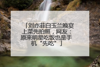 刘亦菲白玉兰晚宴上菜先拍照，网友：原来明星吃饭也是手机“先吃”