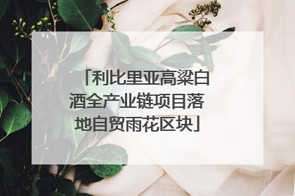 利比里亚高粱白酒全产业链项目落地自贸雨花区块