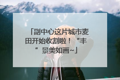 副中心这片城市麦田开始收割啦！“丰”景美如画~