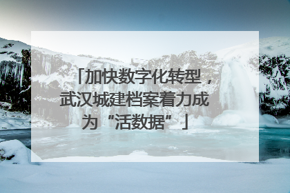 加快数字化转型，武汉城建档案着力成为“活数据”