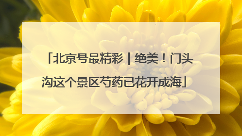 北京号最精彩｜绝美！门头沟这个景区芍药已花开成海